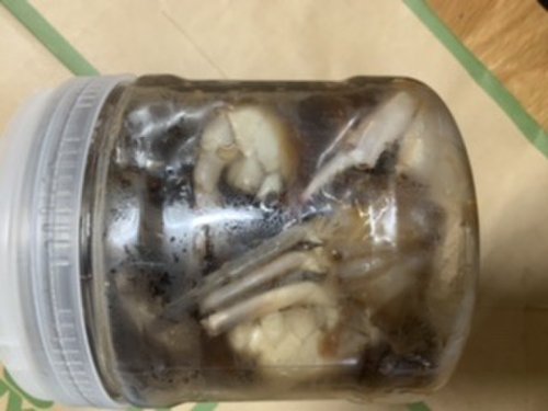 [냉동] 게 맛이 살아있는 국산 간장꽃게장 (1.1kg)