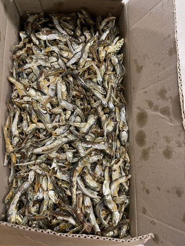 남해안 다시멸치 국물멸치 식당용 대멸치 1.5kg
