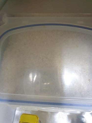 유기농 쌀 7kg