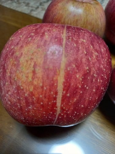 [과일선물세트] NEW 사과배혼합선물세트 7kg(사과6개, 배6개)