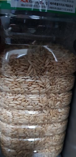 불릴필요없는 숙성귀리쌀 4.2kg