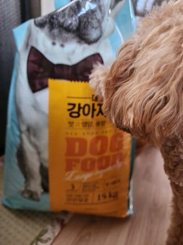 [몰리스] 강아지 사료 15kg