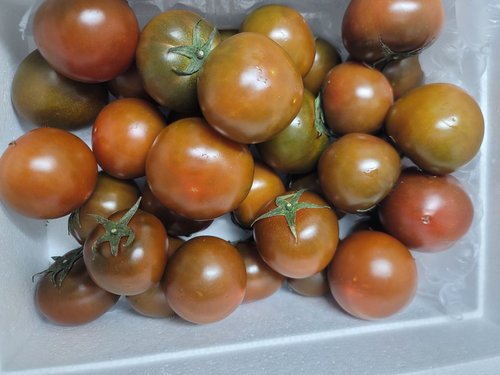 [가락시장 경매 식자재 과일]흑토마토 2kg내외/box