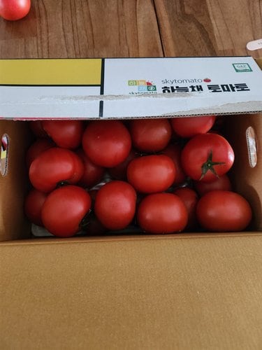 [자연섬김] 완숙토마토 5kg (1~2번)