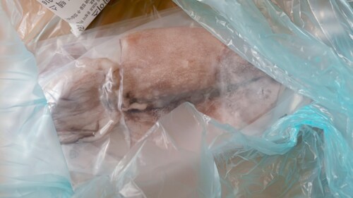 [냉동][국산] 식감이 살아있는 반건조 오징어 특대 (2~3미, 500g)
