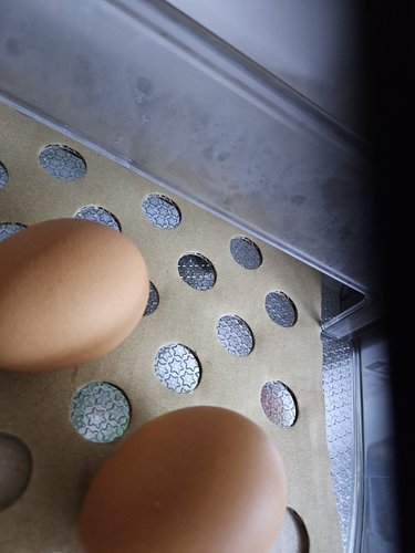 [미운영]어린닭이 낳은 계란 30개입