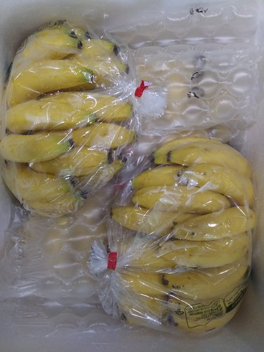 [가락시장 새벽 경매상품][필리핀] 고당도 바나나 6kg내외 1박스 (4~5수)_아이스박스