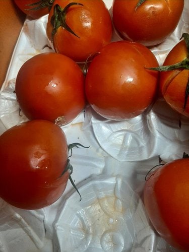 [자연섬김] 완숙토마토 5kg (1~2번)