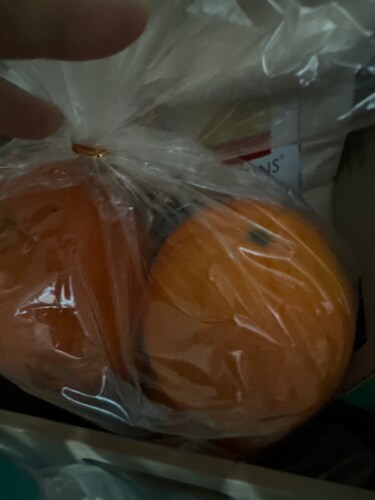 호주산 네이블 오렌지 1.4kg (5~8입/봉)