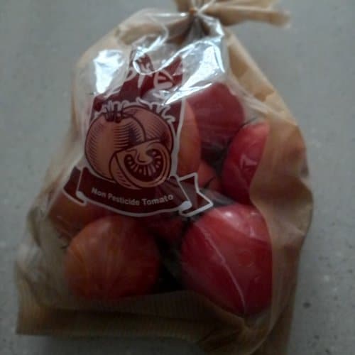 친환경 토마토 1kg