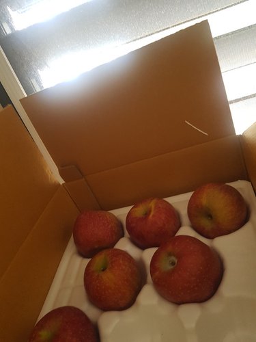 유명산지 사과 12입내/박스 (2.5kg)