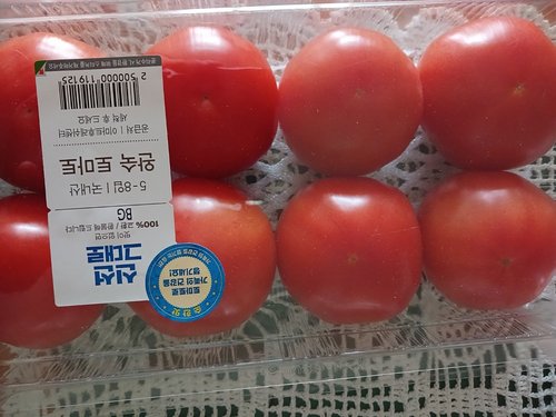 완숙토마토 5~8입/팩 (1.1kg)