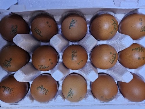 [하림] 1등급 계란 15구 (대란, 780g)