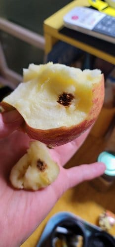 [유명산지] 못생겨도 맛좋은 가정용 사과(흠과) 8kg 20-40과내
