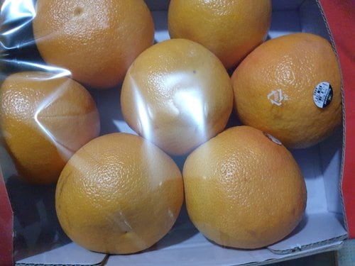 오랑지나 스파클링 오렌지 420ml X 12입(PET)