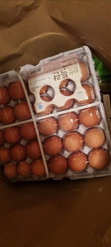 [애슐리] 원조 춘천 닭갈비 2인분(820g)