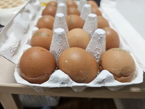 [풀무원] 신선 가득 계란 15개입 (대란, 780g)