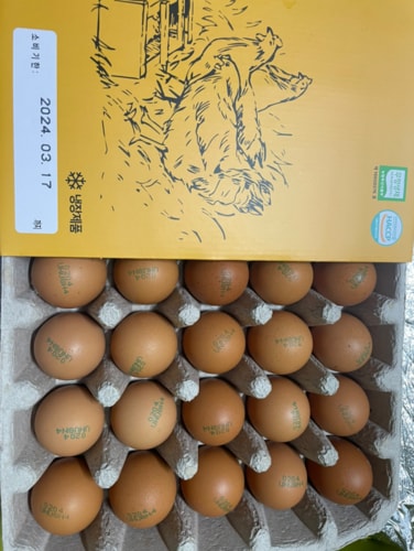유황먹인 무항생제 달걀 25구(1300g)