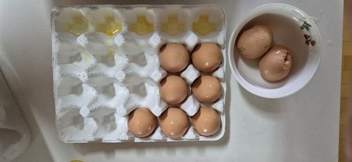 [1번사육]동물복지 자유방목 무항생제 신선유정란 햇달걀 20입
