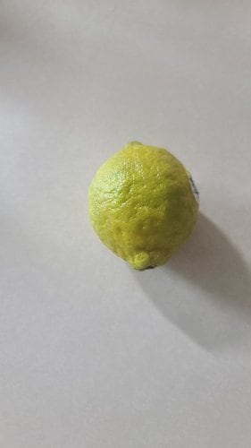 [미국산] 레몬 1개 (150g내외)