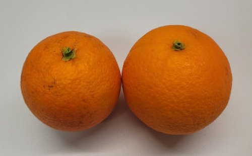 미국산 고당도 퓨어스펙 오렌지 1.4kg (4~8입/봉)