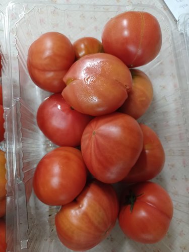 대저 토마토 1.2kg (팩)